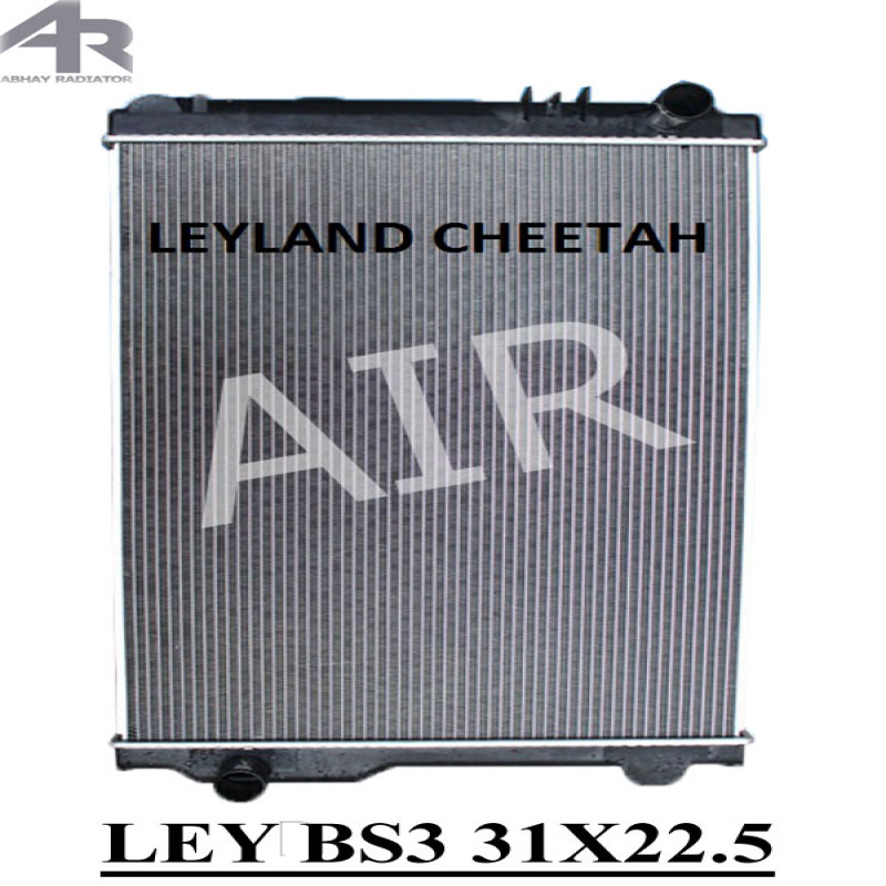 LEY BS3 31X22.5 (CHEETAH)